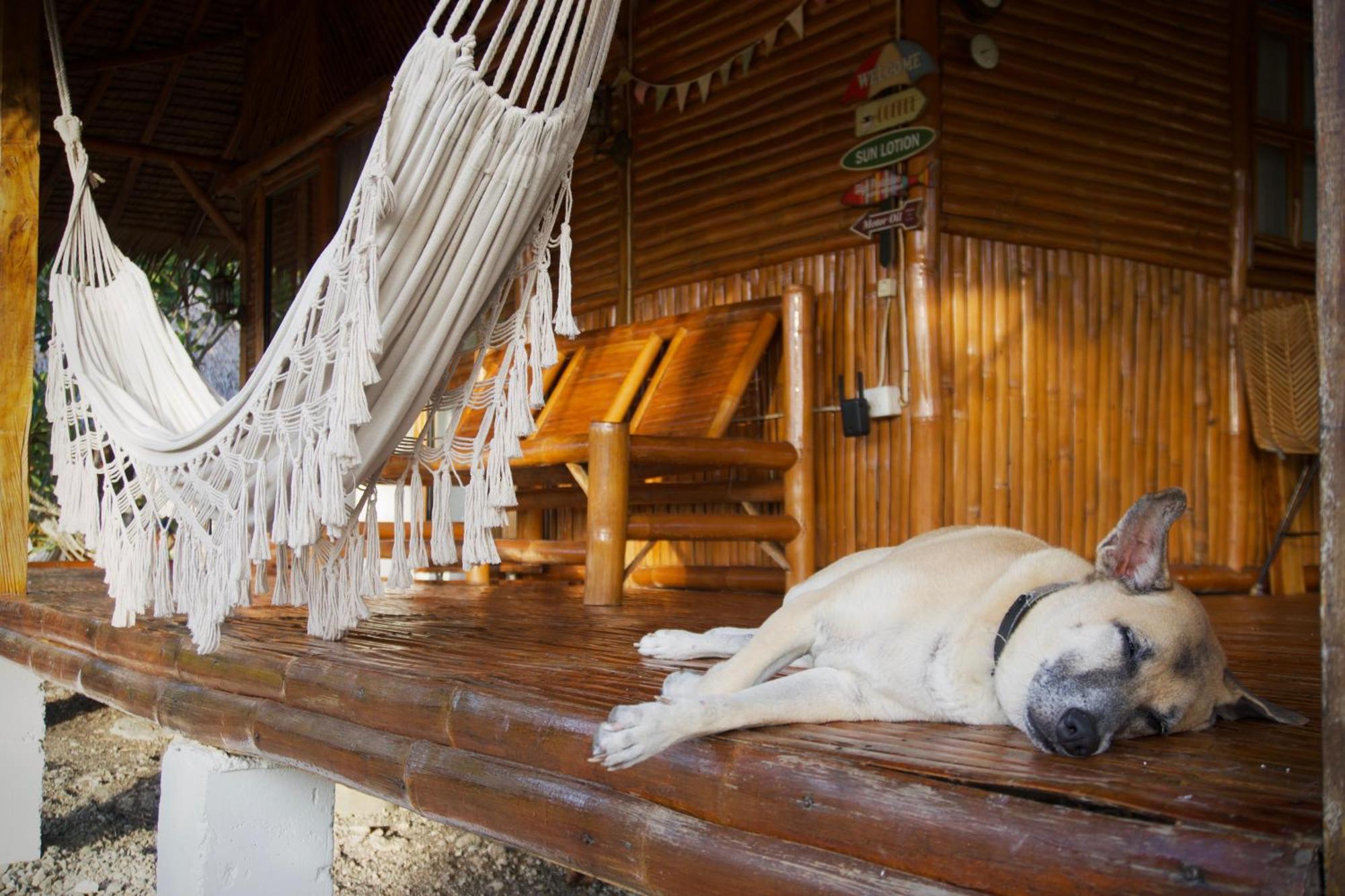 Tongo Hill Cottages Moalboal Bagian luar foto